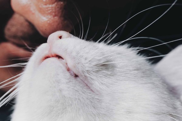 Les tendances en matière de recrutement et de gestion des ressources humaines